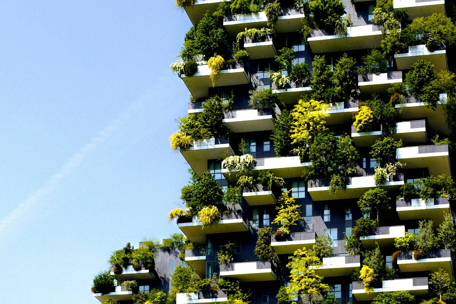 Immeuble résidentiel neuf aux balcons végétalisés